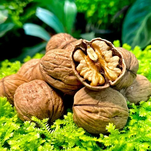 Premium Kashmiri Walnuts