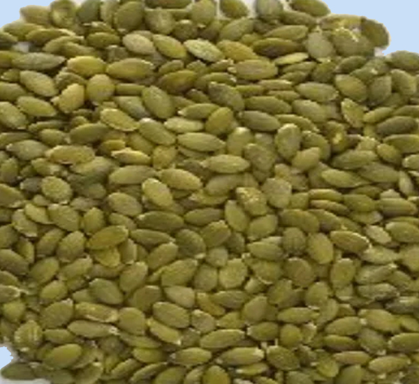 Premium Fresh Pumpkin Seeds