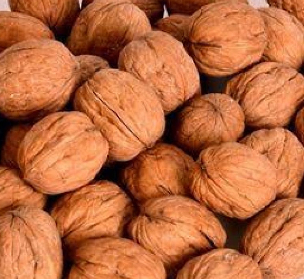 Sabot Akhrot 